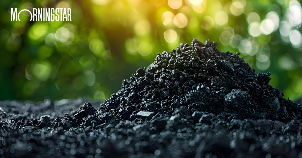 How to Invest in Carbon Removal
