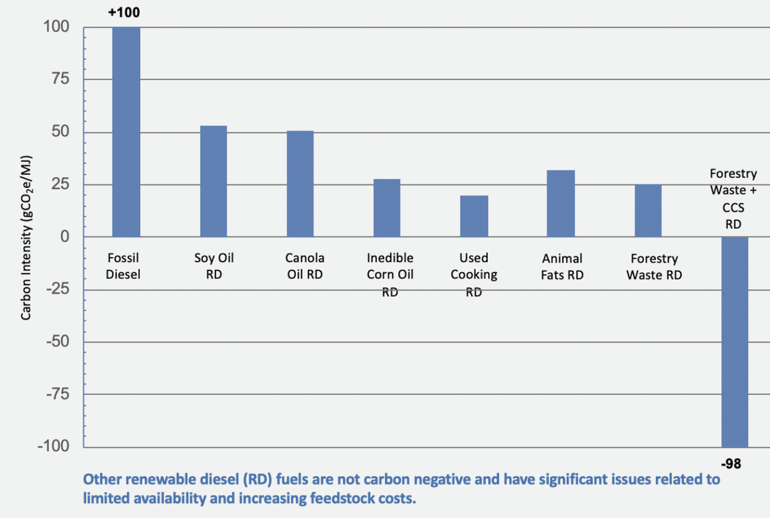 Diagram of carbon positive, neutral and negative processes