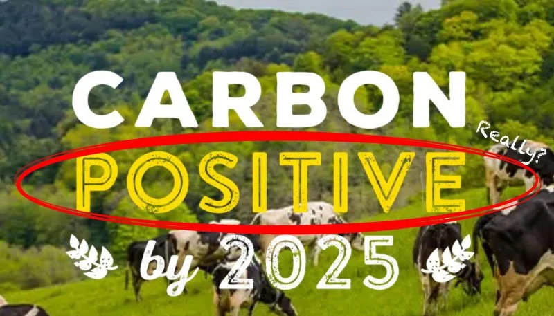 When Carbon Negative is a Positive